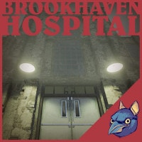 hospital brookhaven vida real