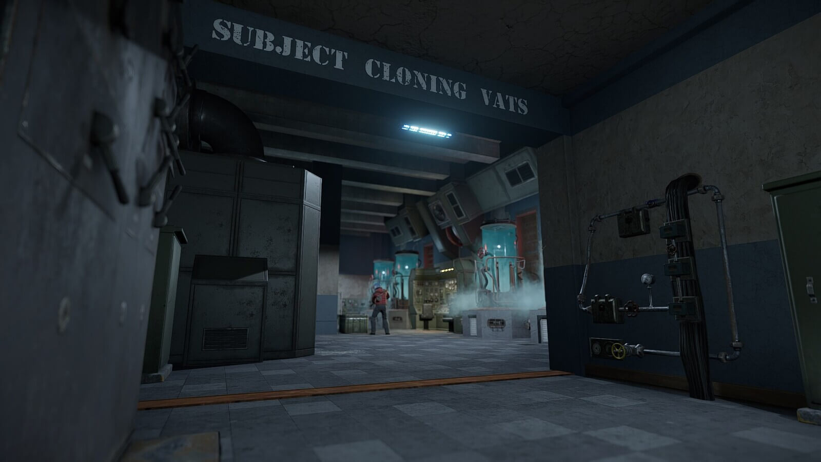 Small cloning facility located in the P8 bunker
